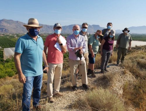 Patrimonio Histórico inicia los trabajos previos a la excavación del Yacimiento de Los Saladares